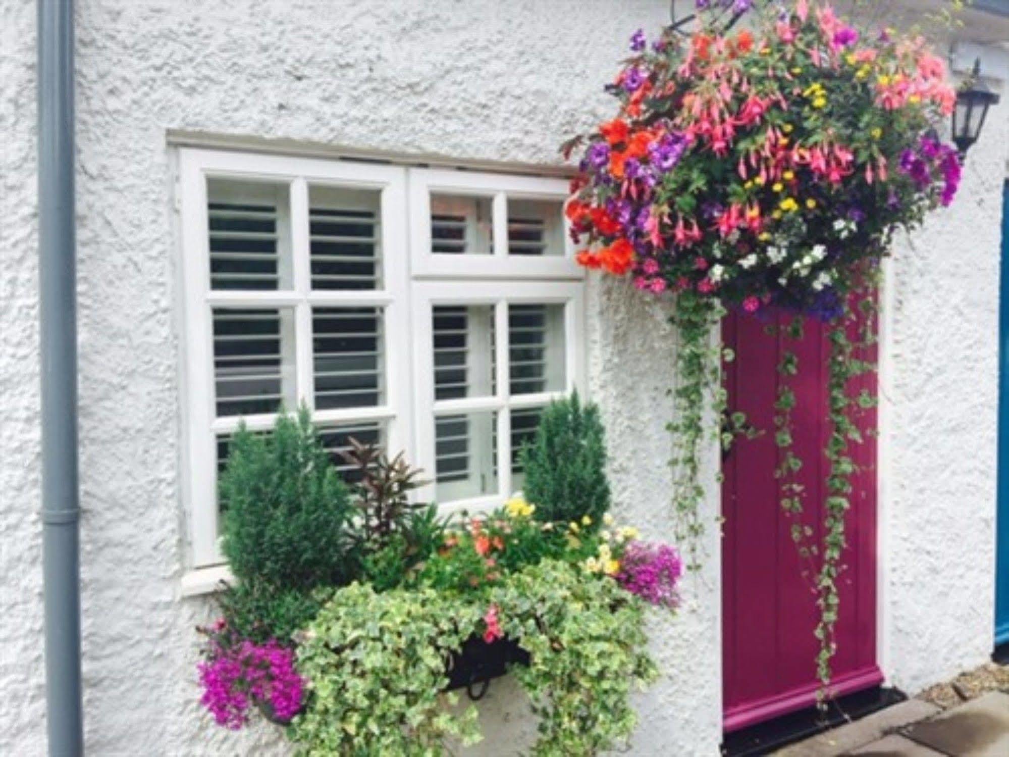 The Swan Inn Nantwich Dış mekan fotoğraf